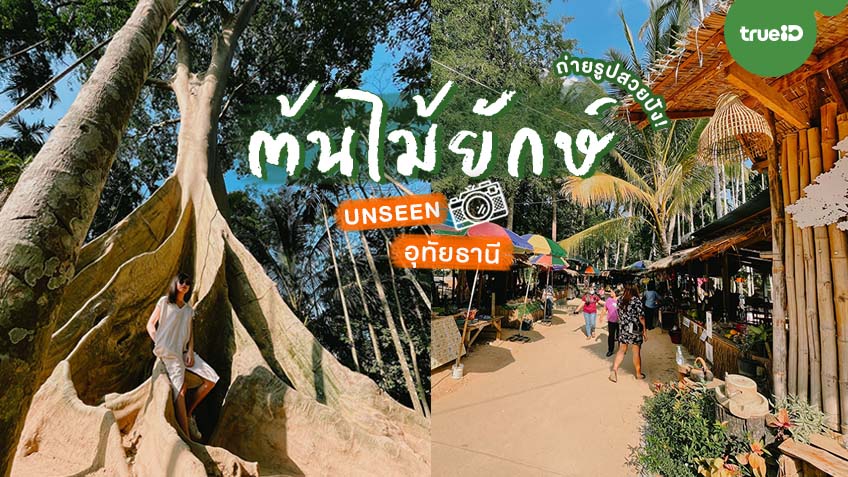 ต้นไม้ยักษ์ บ้านสะนำ